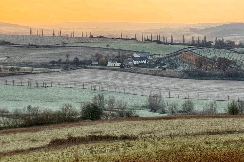 E58566C2-5076-49F9-97B4-6C4DA5717261_1_201_a